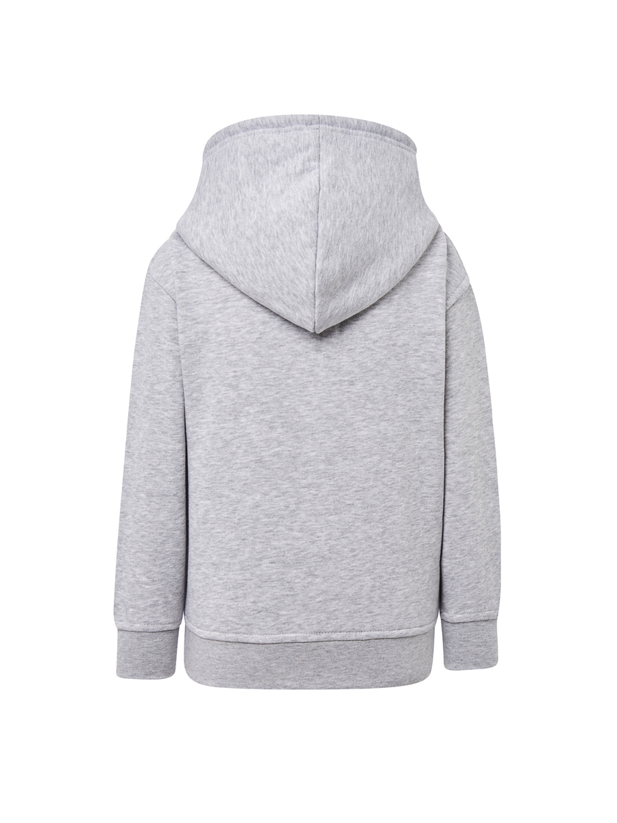 Подростковое серое худи с вышивкой "Бизон" 