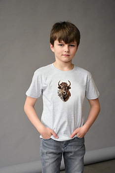 Детская футболка серая с вышивкой "Бизон"